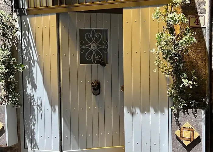 International Garibaldi